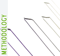 Outsource to India methodology